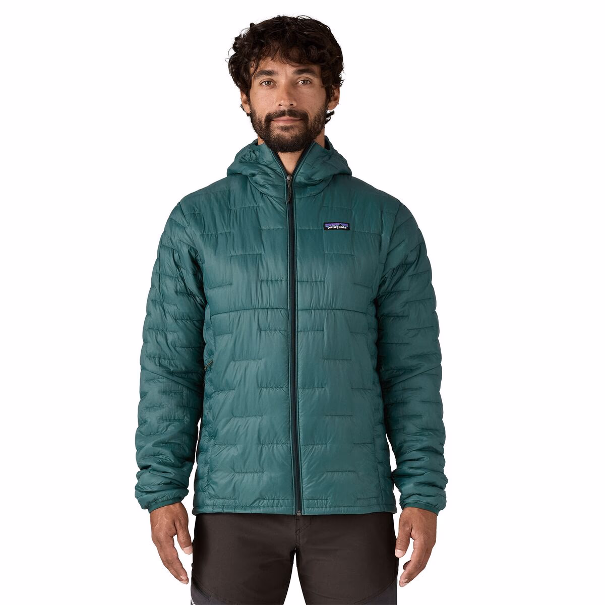 Patagonia Men's Micro Puff Insulated Hoody Cascade Green